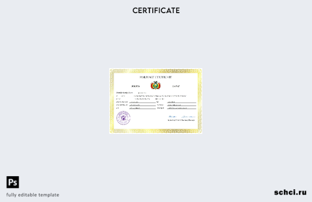цифровая загрузка свидетельства о браке в Боливии, шаблон Word и PDF